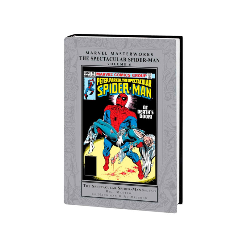 Marvel Masterworks: The Spectacular Spider-Man Vol. 6