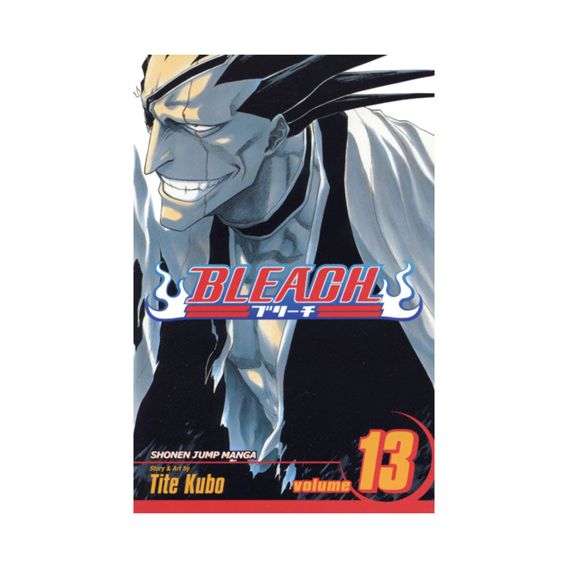 Bleach, Vol. 13