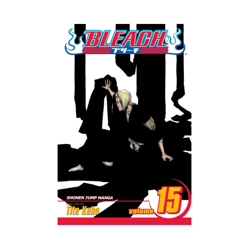 Bleach, Vol. 15