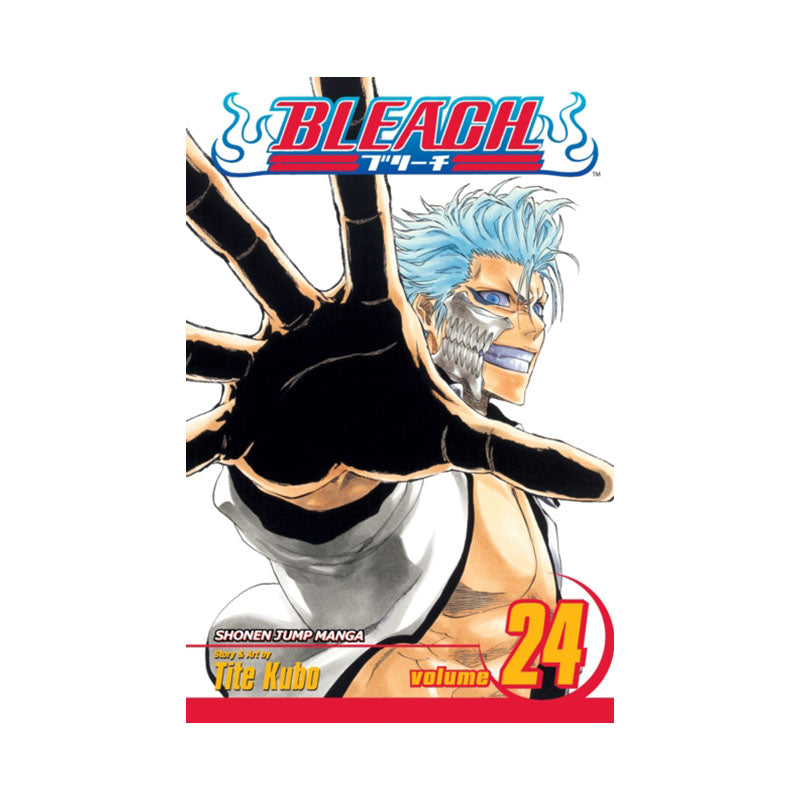 Bleach, Vol. 24
