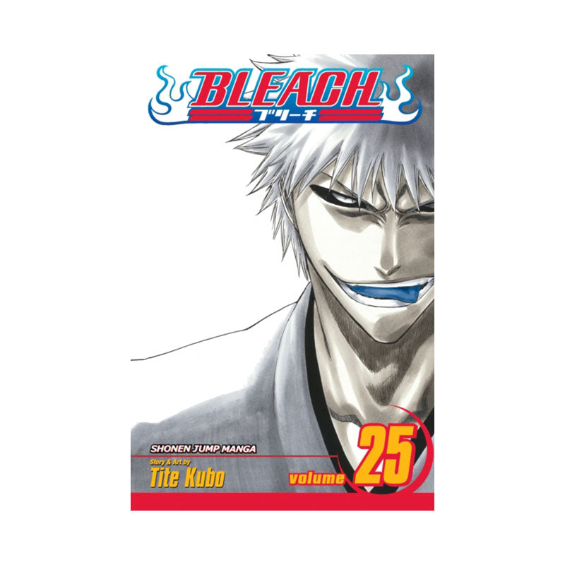 Bleach, Vol. 25
