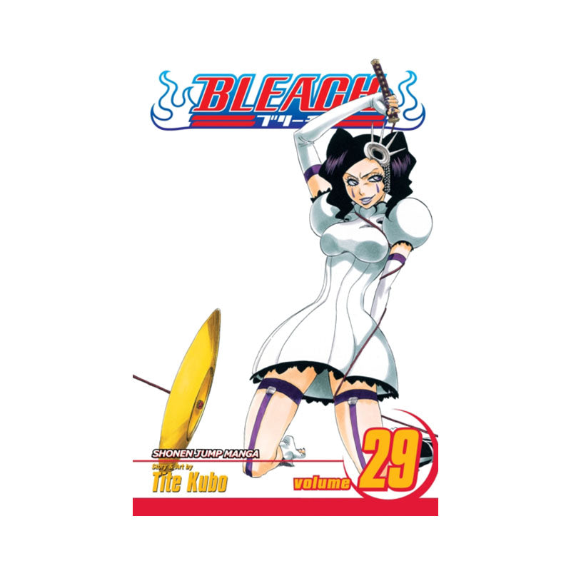 Bleach, Vol. 29