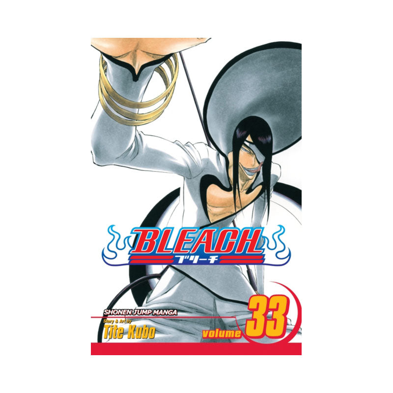 Bleach, Vol. 33