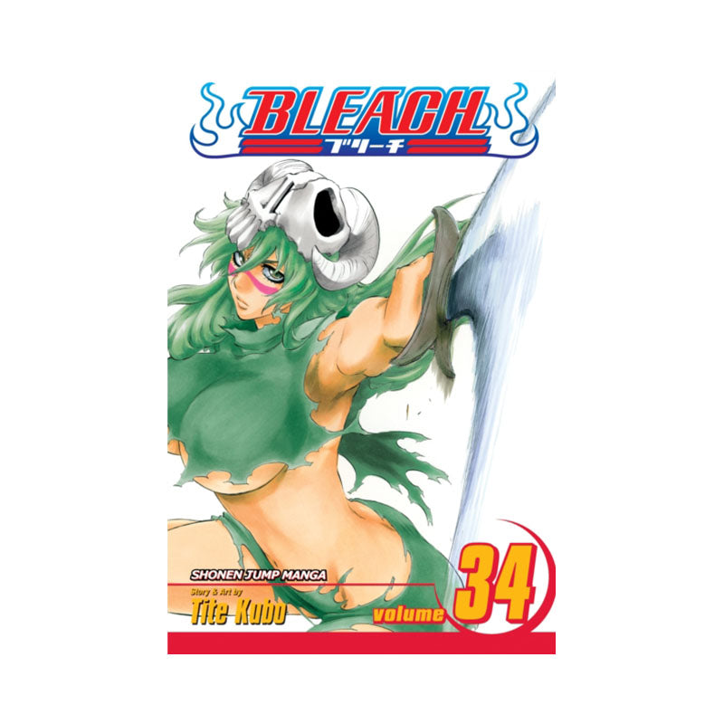 Bleach, Vol. 34