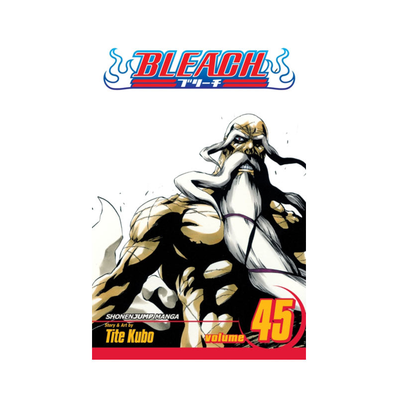 Bleach, Vol. 45