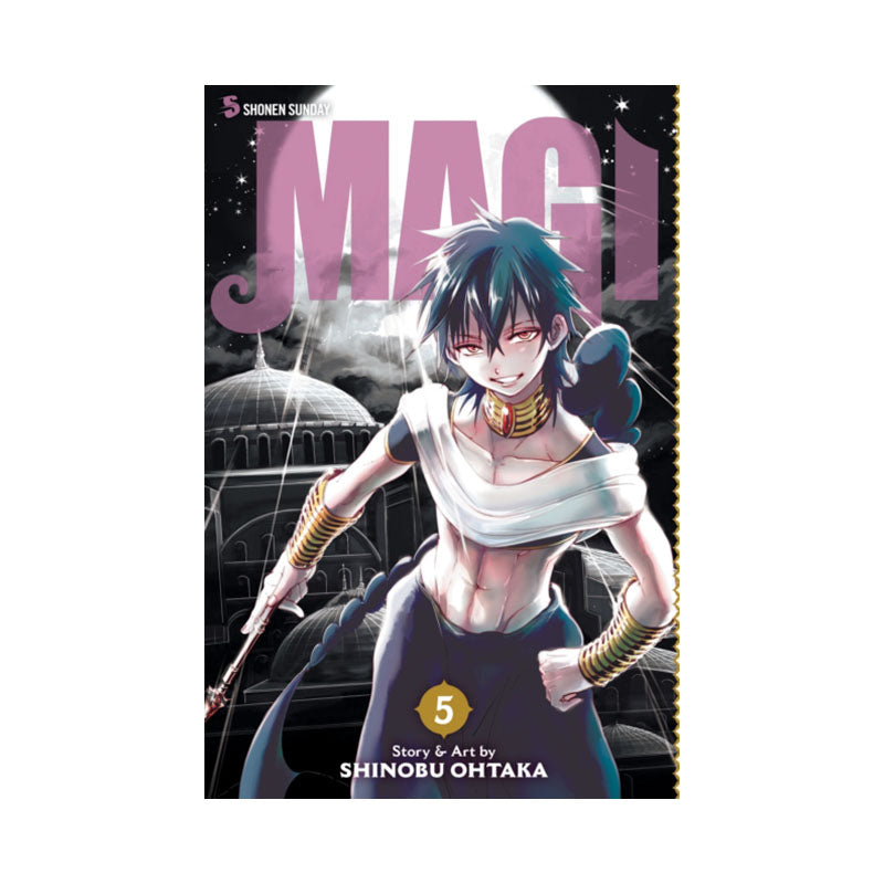 Magi: The Labyrinth of Magic, Vol. 5