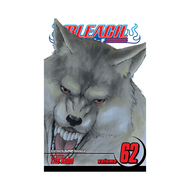 Bleach, Vol. 62
