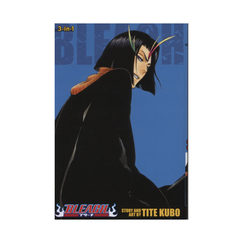 Bleach (3-in-1 Edition), Vol. 13