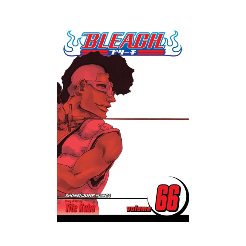 Bleach, Vol. 66