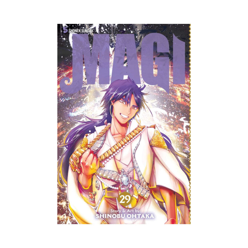 Magi: The Labyrinth of Magic, Vol. 29