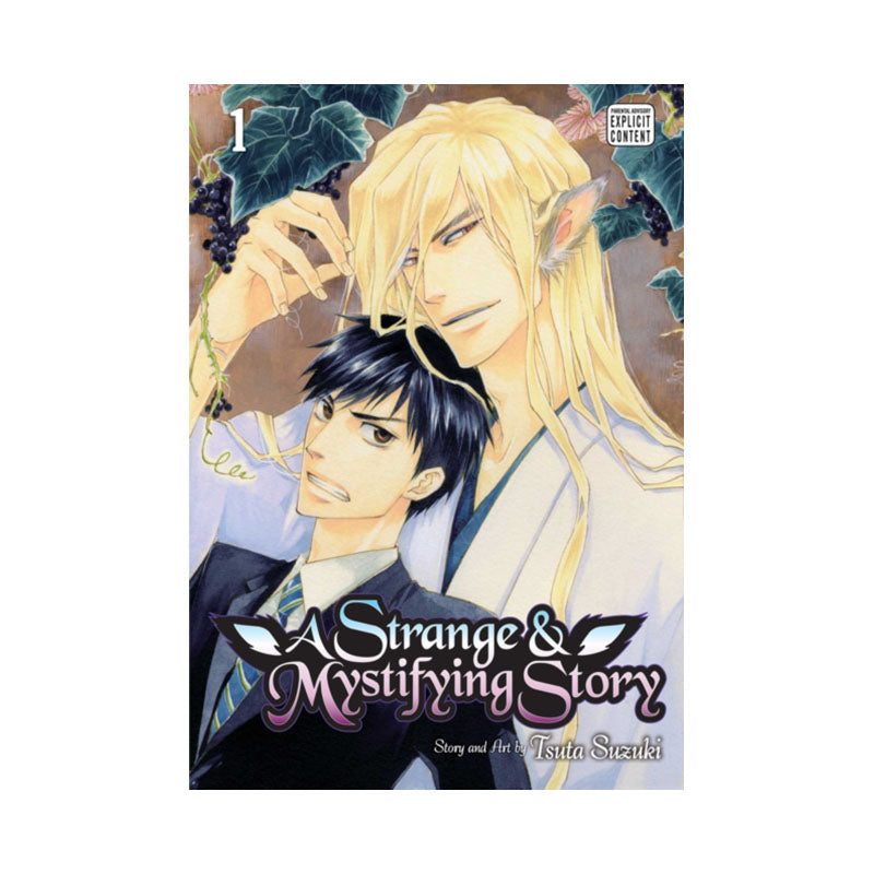 Strange & Mystifying Story, Vol. 1
