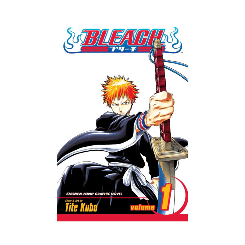 Bleach, Vol. 1