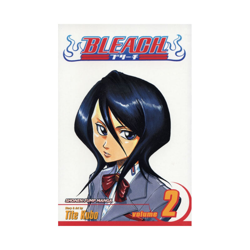 Bleach, Vol. 2