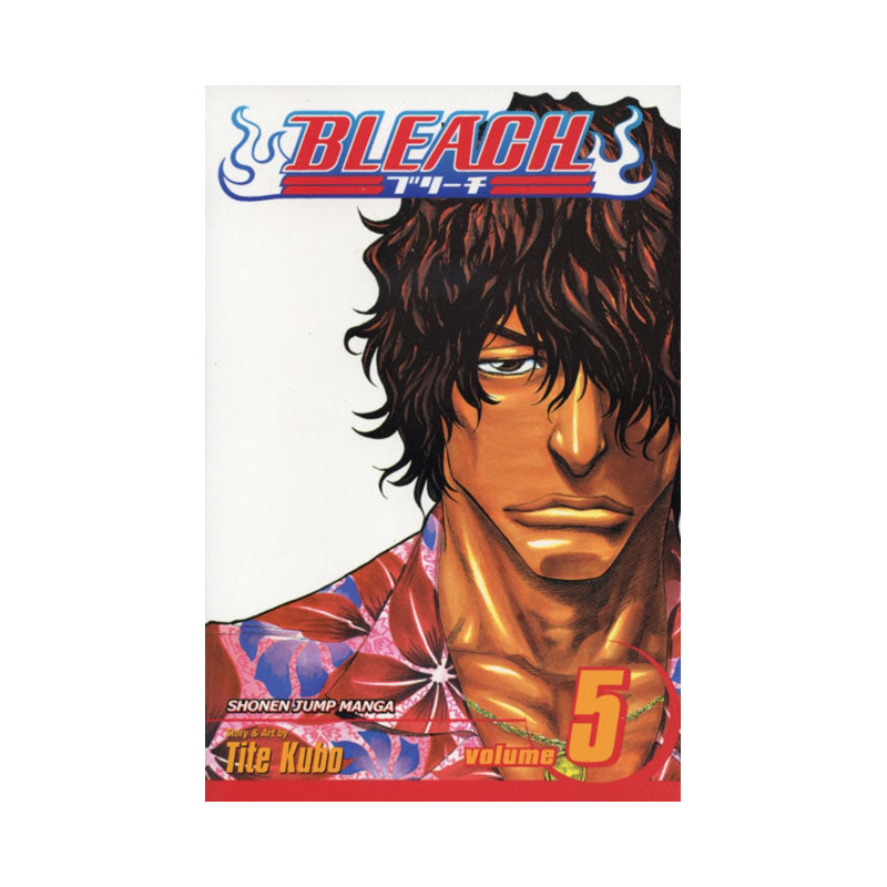 Bleach, Vol. 5