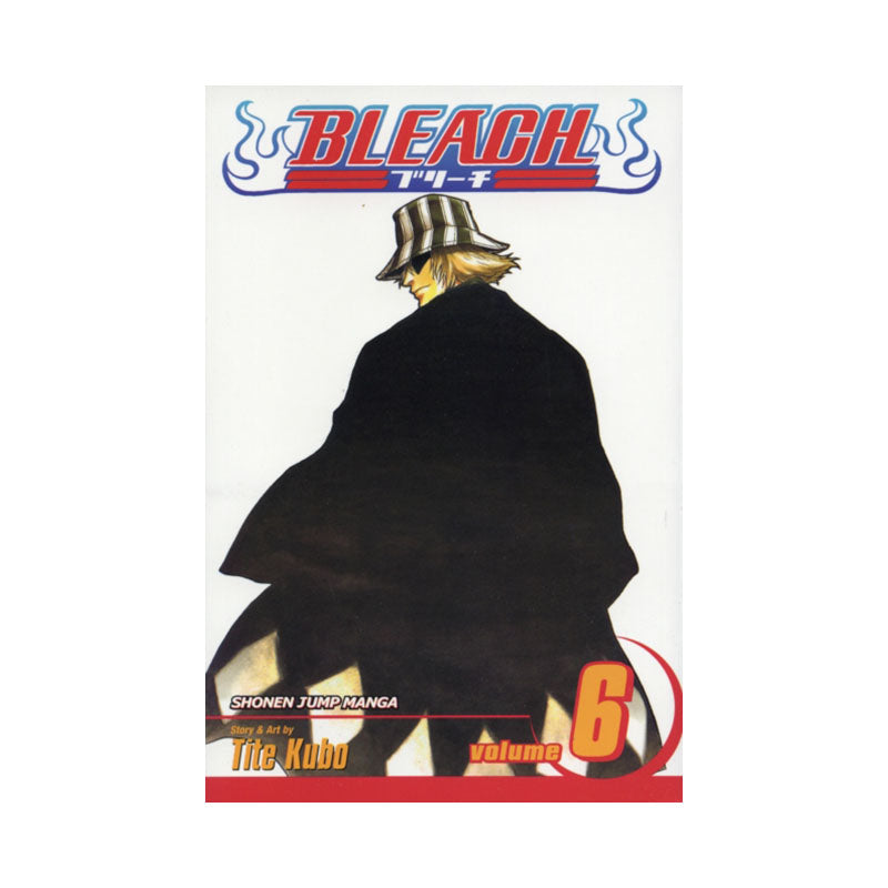 Bleach, Vol. 6