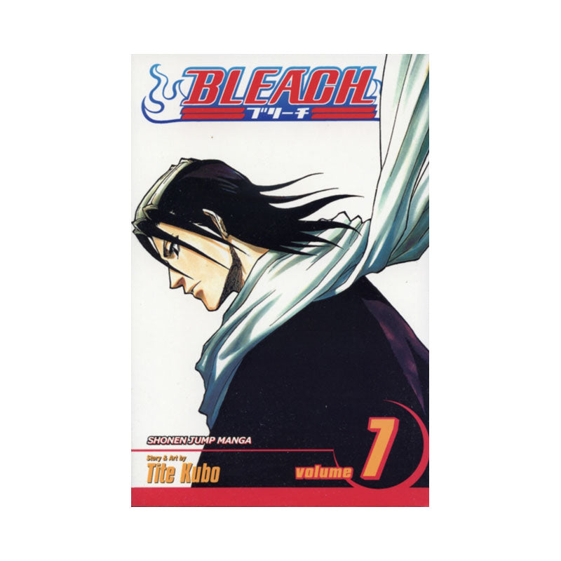 Bleach, Vol. 7