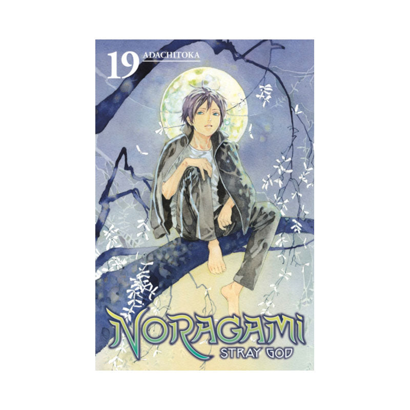 Noragami: Stray God 19