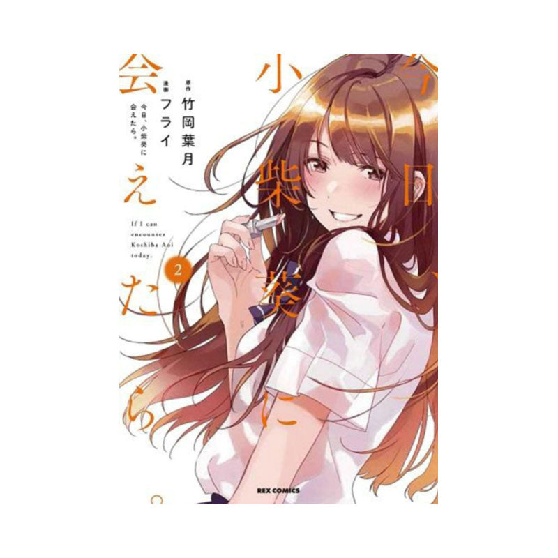 Chasing After Aoi Koshiba 2
