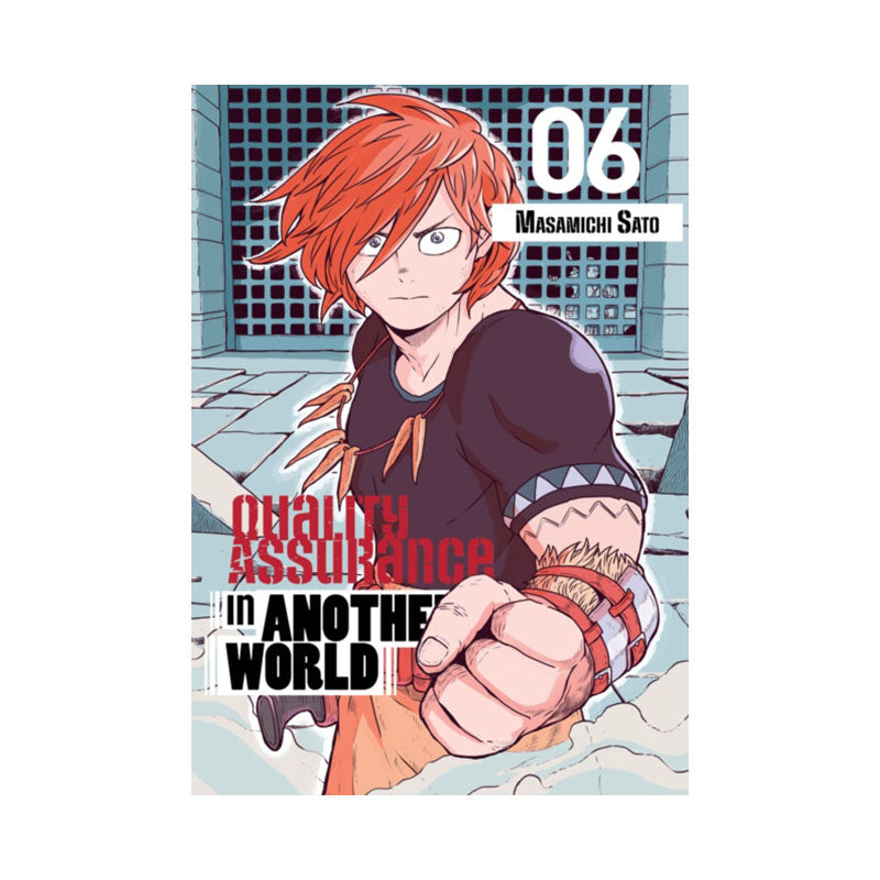 Quality Assurance in Another World 6