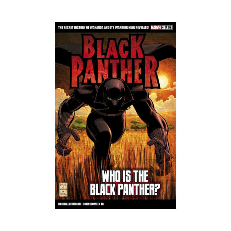 Marvel Select Black Panther: Who is The Black Panther?