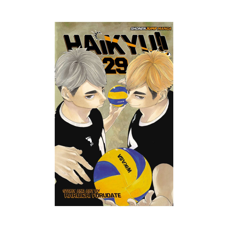 Haikyu!!, Vol. 29