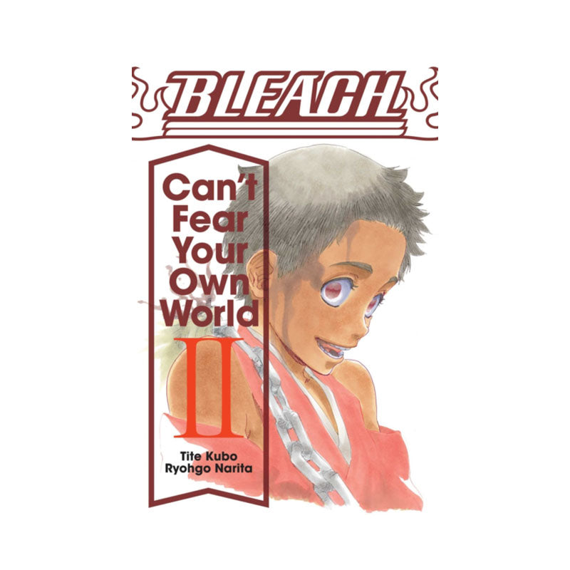 Bleach: Can't Fear Your Own World, Vol. 2