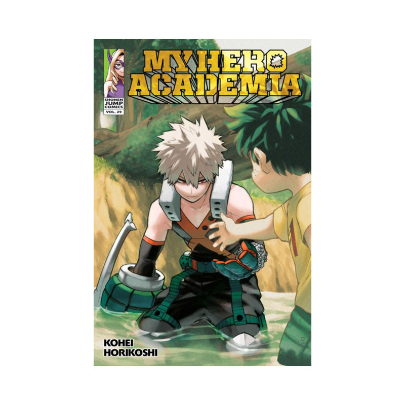My Hero Academia, Vol. 29