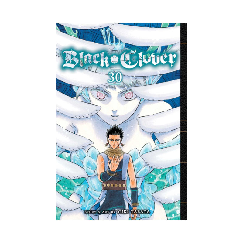 Black Clover, Vol. 30