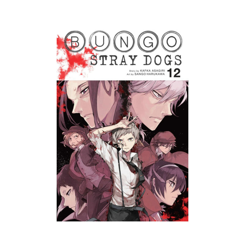 Bungo Stray Dogs, Vol. 12