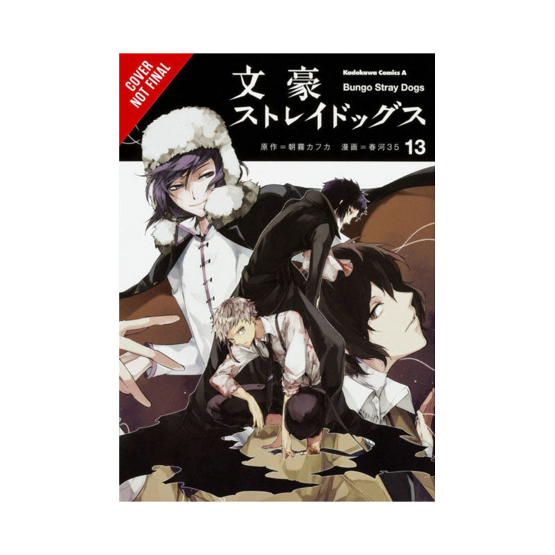 Bungo Stray Dogs, Vol. 13