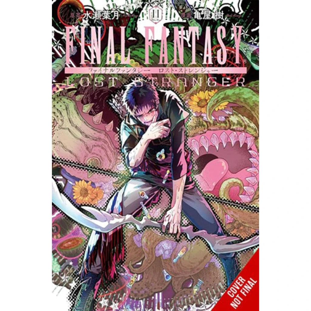 Final Fantasy Lost Stranger, Vol. 11