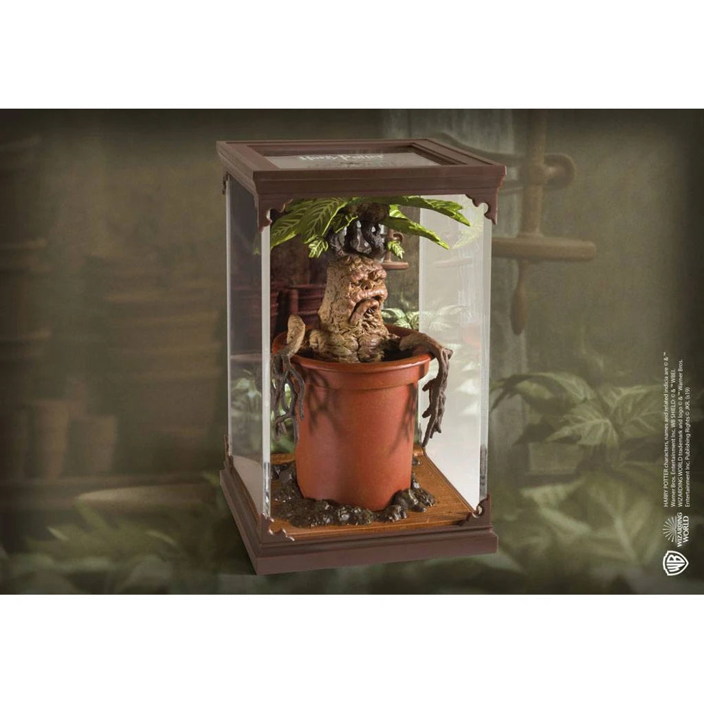 Harry Potter Magical Creatures Statue Mandrake 13 cm