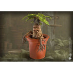 Harry Potter Magical Creatures Statue Mandrake 13 cm