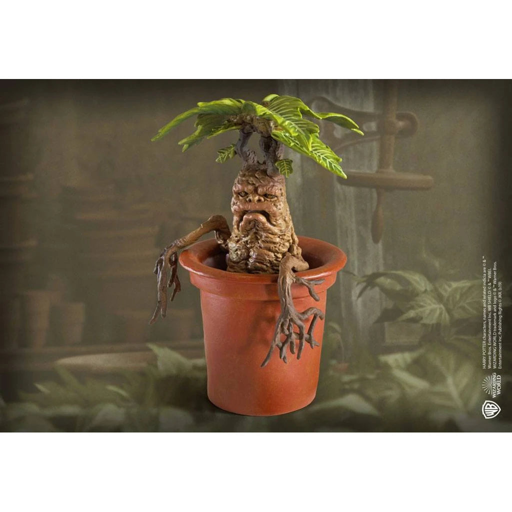 Harry Potter Magical Creatures Statue Mandrake 13 cm
