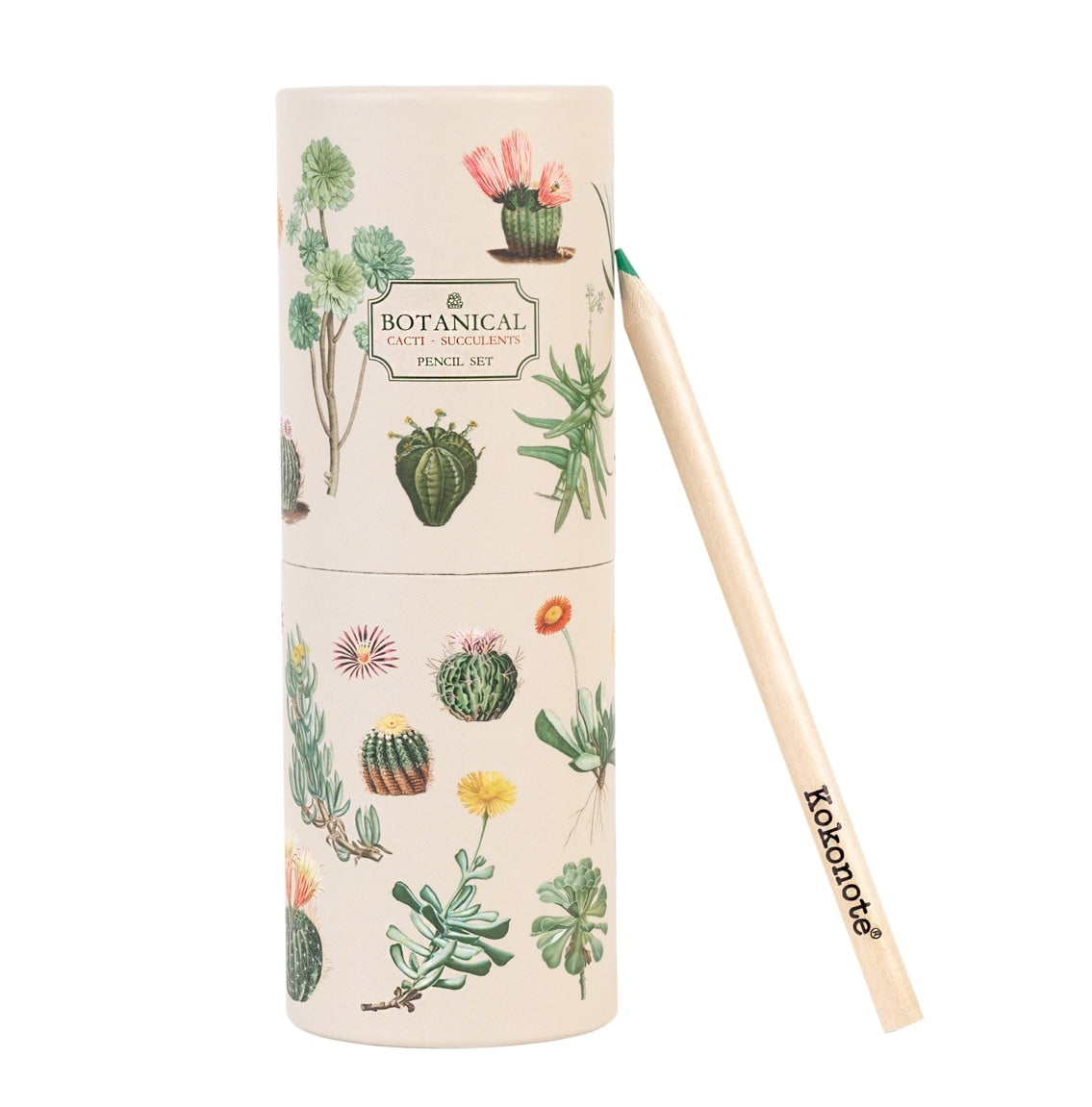 Kokonote Botanical Cacti Colouring Pencils - Set of 12