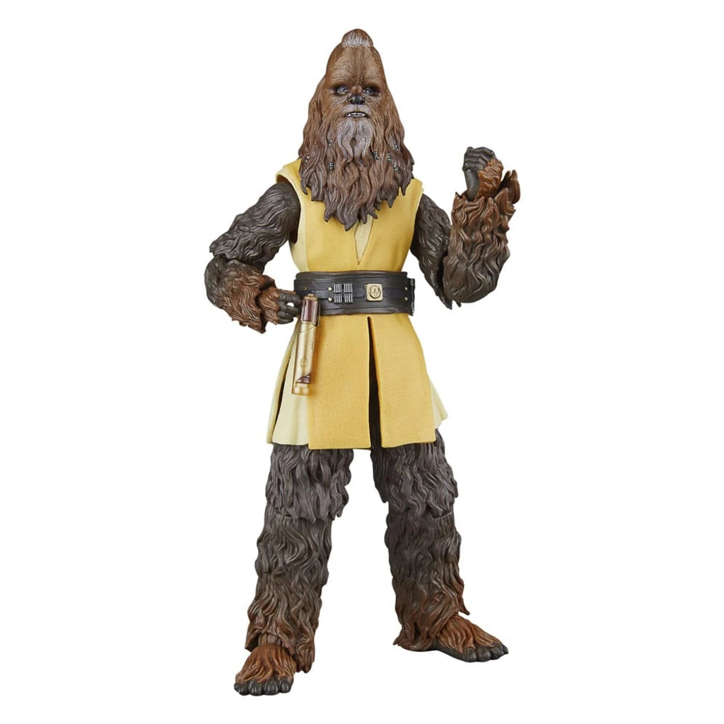 Star Wars: The Acolyte Black Series Action Figure Jedi Master Kelnacca 15 cm