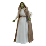 Star Wars: The Acolyte Black Series Action Figure Jedi Master Vernestra Rwoh 15 cm