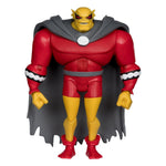 The New Batman Adventures DC Multiverse McFarlane Collector Edition Action Figures Wave 5 18 cm assortment (6)