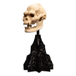 Lord of the Rings Mini Statue Skull of Lurtz 14 cm