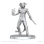 Pathfinder Deep Cuts Unpainted Miniatures Vordine (Infantry Devil) & Pitborn Rogue